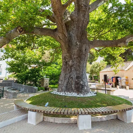 Tereza With Private Pool, Jacuzzi&sea View Villa *