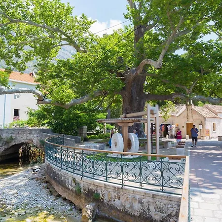 Tereza With Private Pool, Jacuzzi&sea View